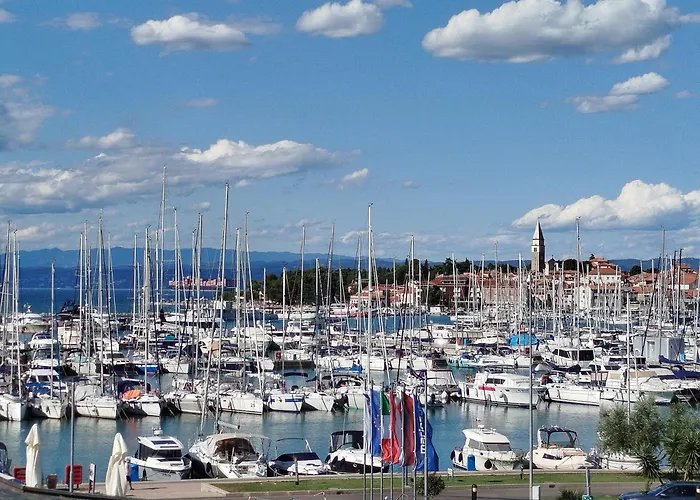 Marina View アパート